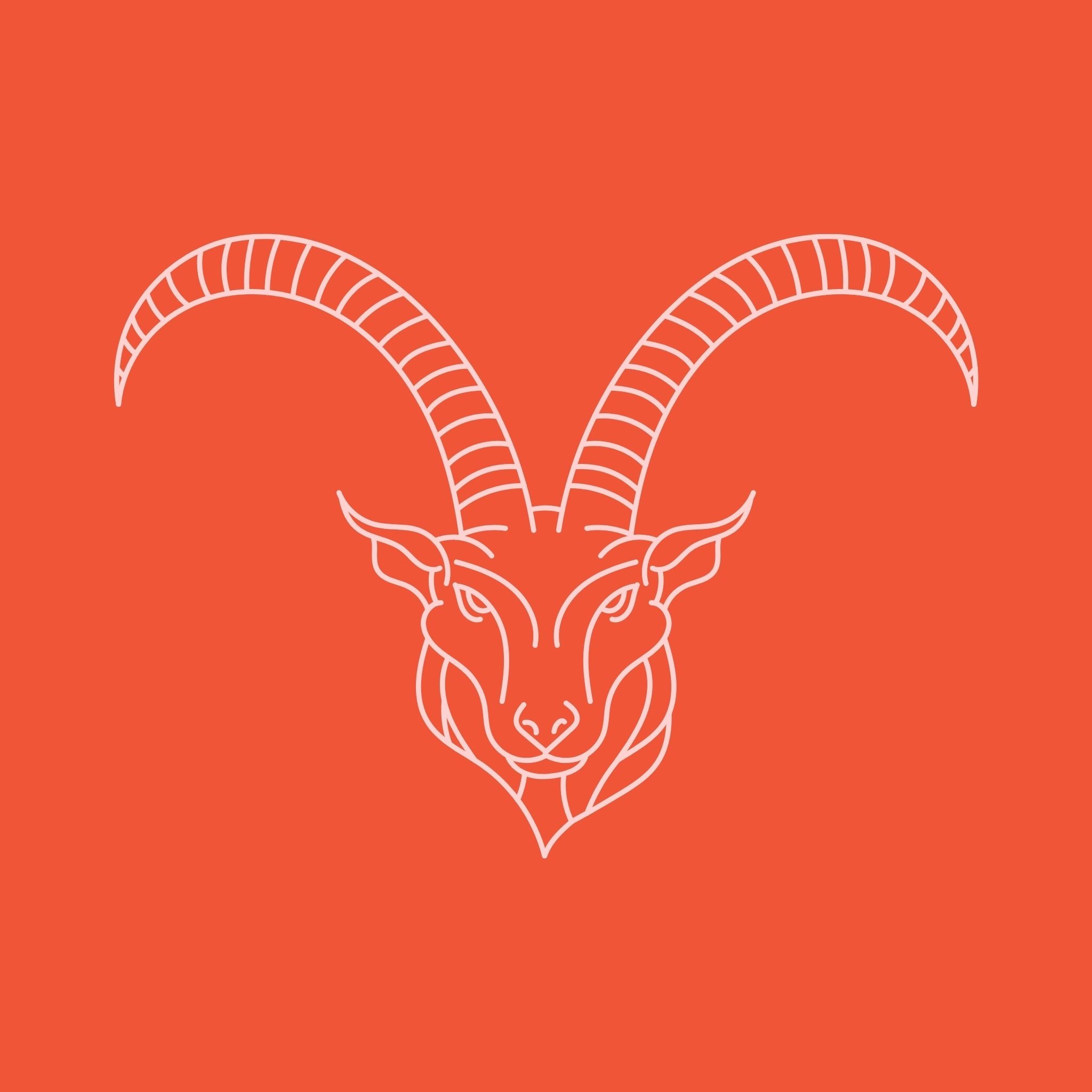 Capricorn 12.22 - 1.19