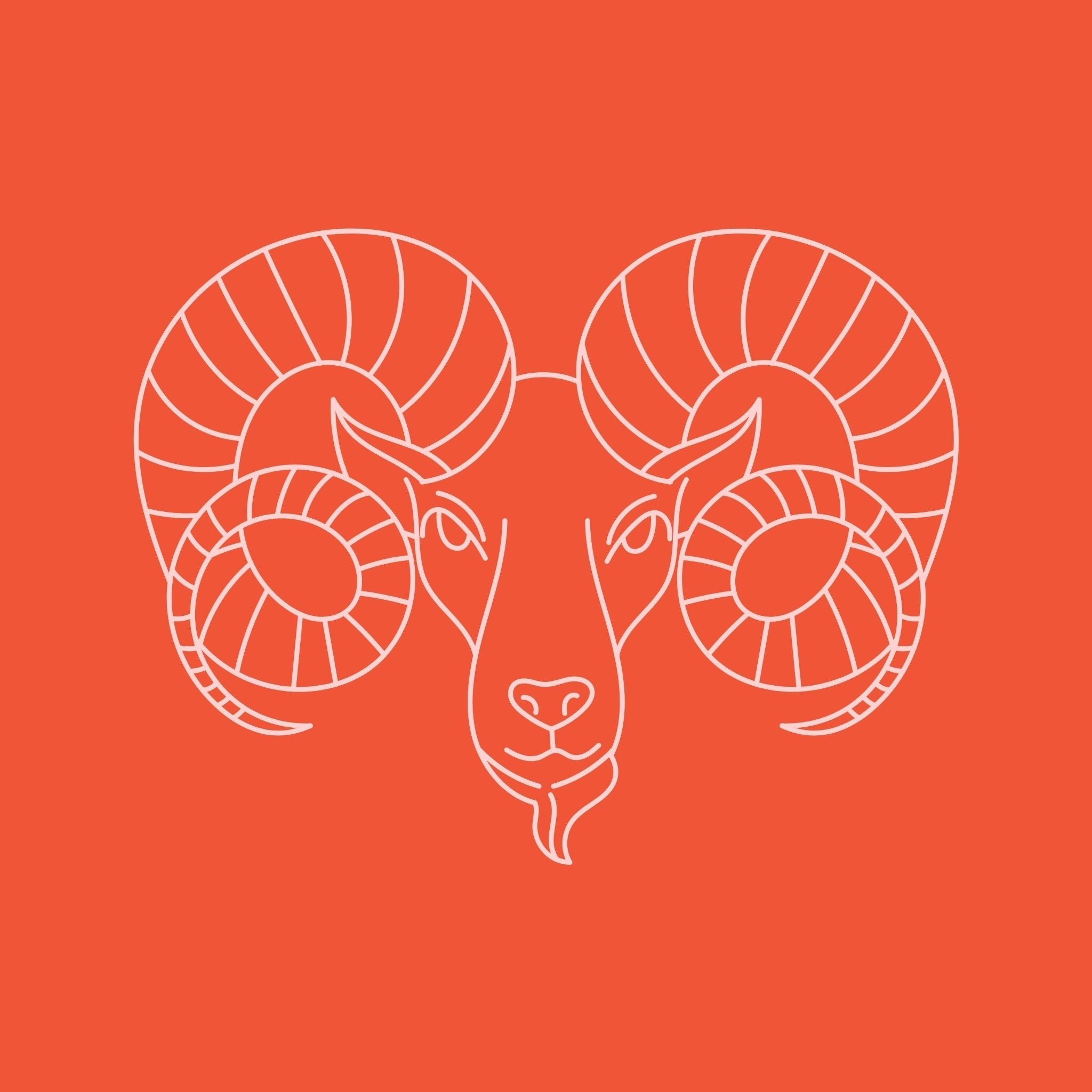 Aries - Confía Collective