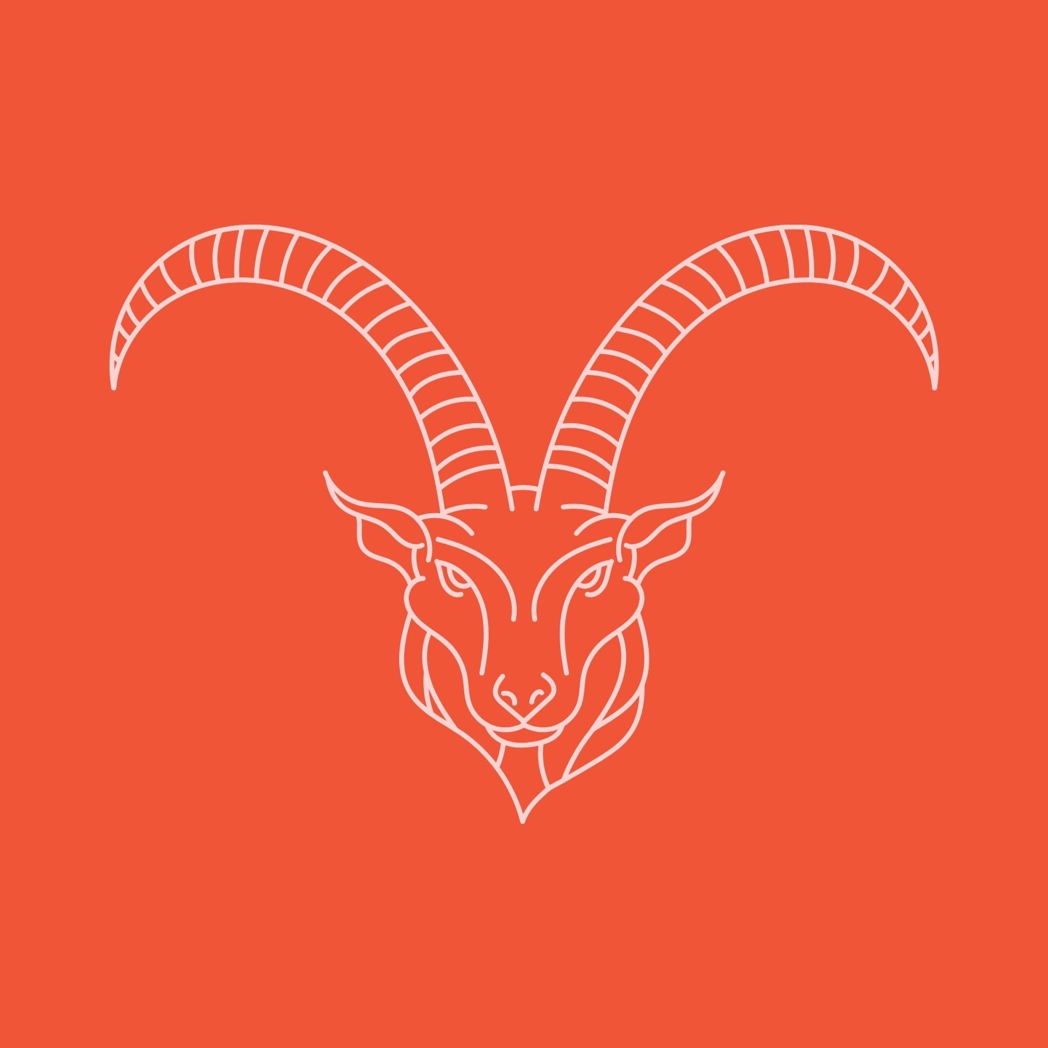 Capricorn 12.22 - 1.19 - Confía Collective