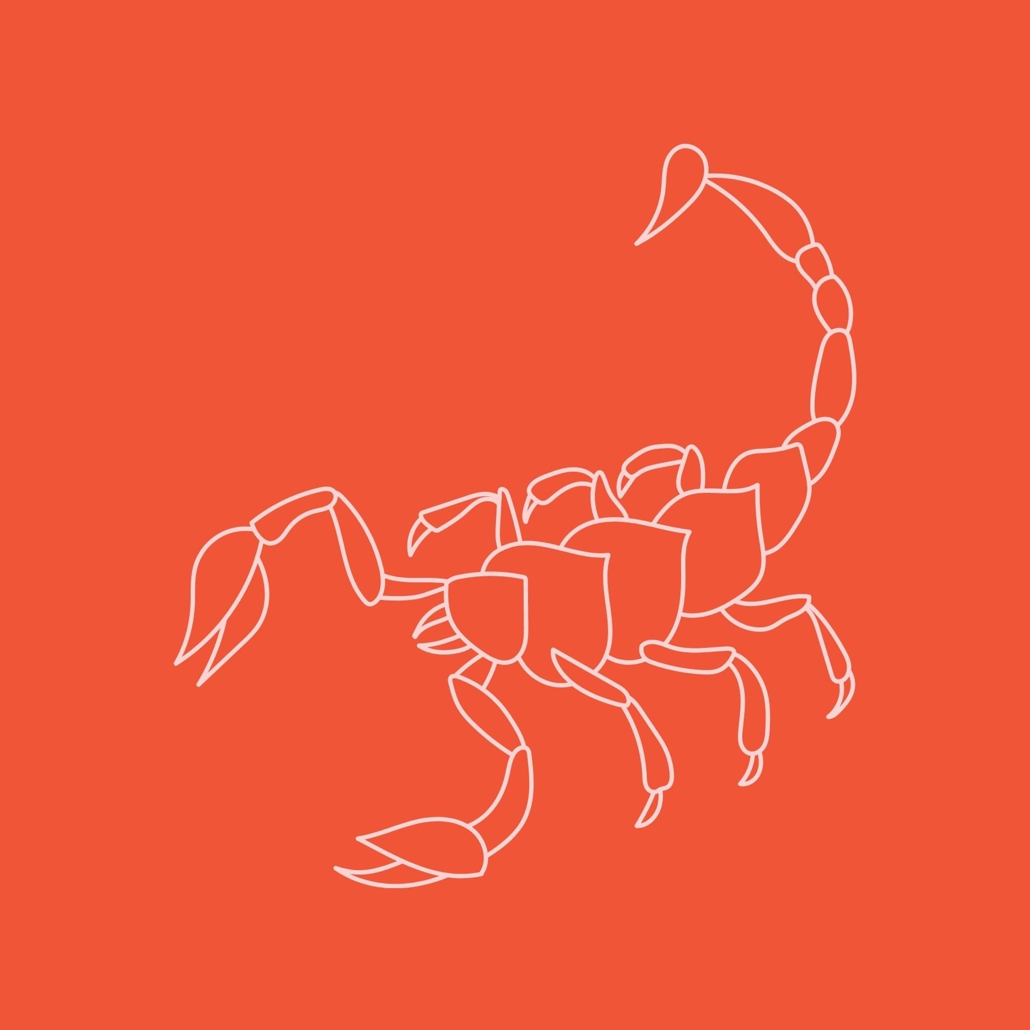 Scorpio 10.23- 11.22 - Confía Collective