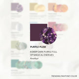 Purple plum color swatch with amethyst gemstone and description text on a light background