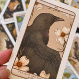 Woodland Wardens Oracle Deck and Guideboook