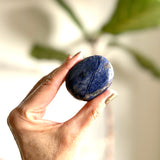 Sodalite Polished Palm Stone
