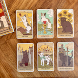 Six illustrated tarot cards featuring cats are arranged on a wooden tabletop, with part of a boxed card deck visible at the top left. The cards show titles including The Fool, Ace of Cups, Three of Wands, Eight of Swords, The Chariot, and Queen of Swords.