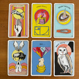 Animal Apothecary Deck and Guidebook