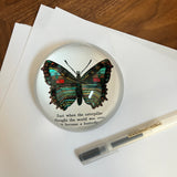 Butterfly Paperweight