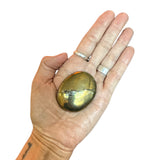 Chalcopyrite Crystal Polished Palm Stone