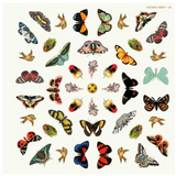 The Antiquarian Mandala Sticker Book