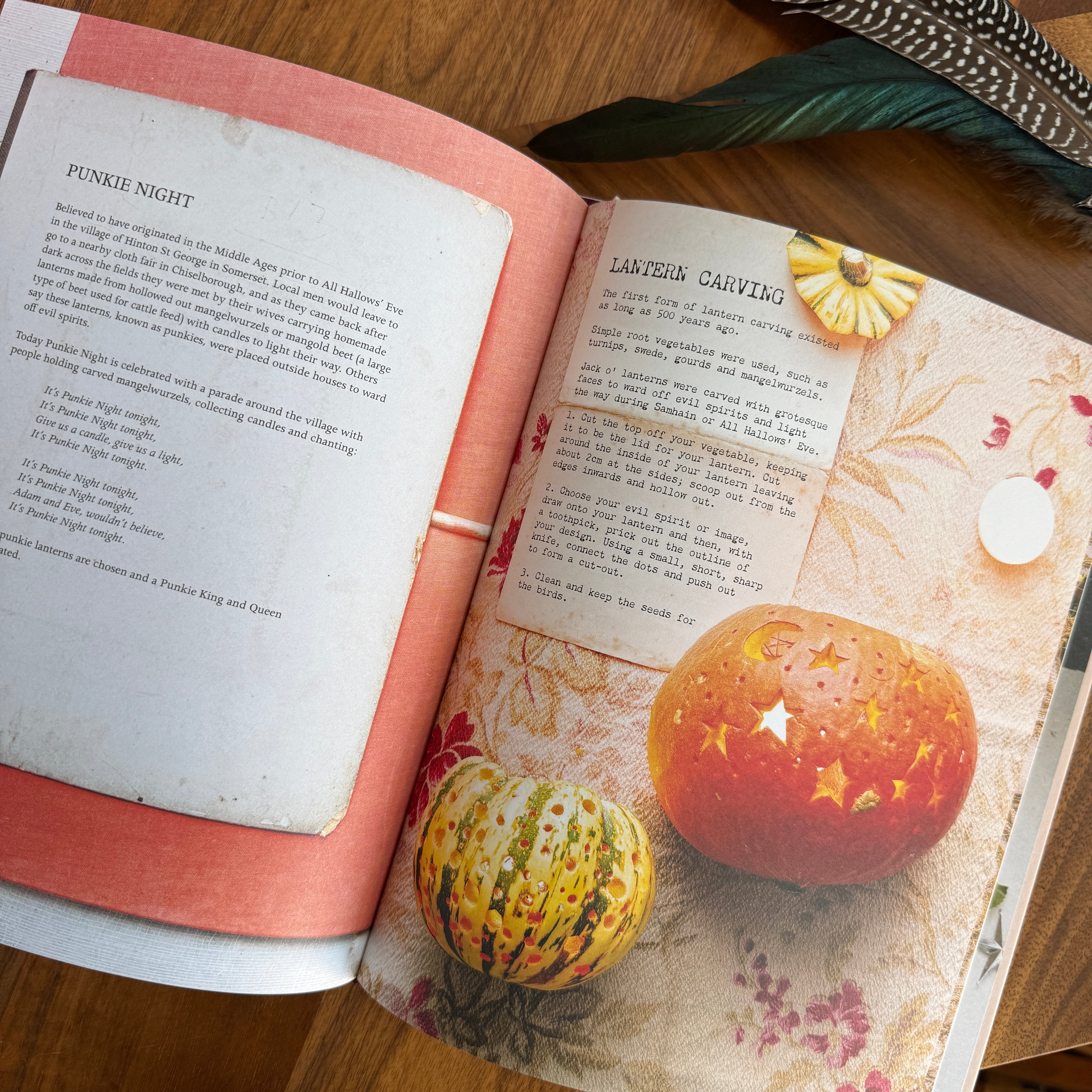 A Curiosity of Folklore, Magic and Spells Book - Confía Collective