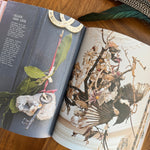 A Curiosity of Folklore, Magic and Spells Book - Confía Collective