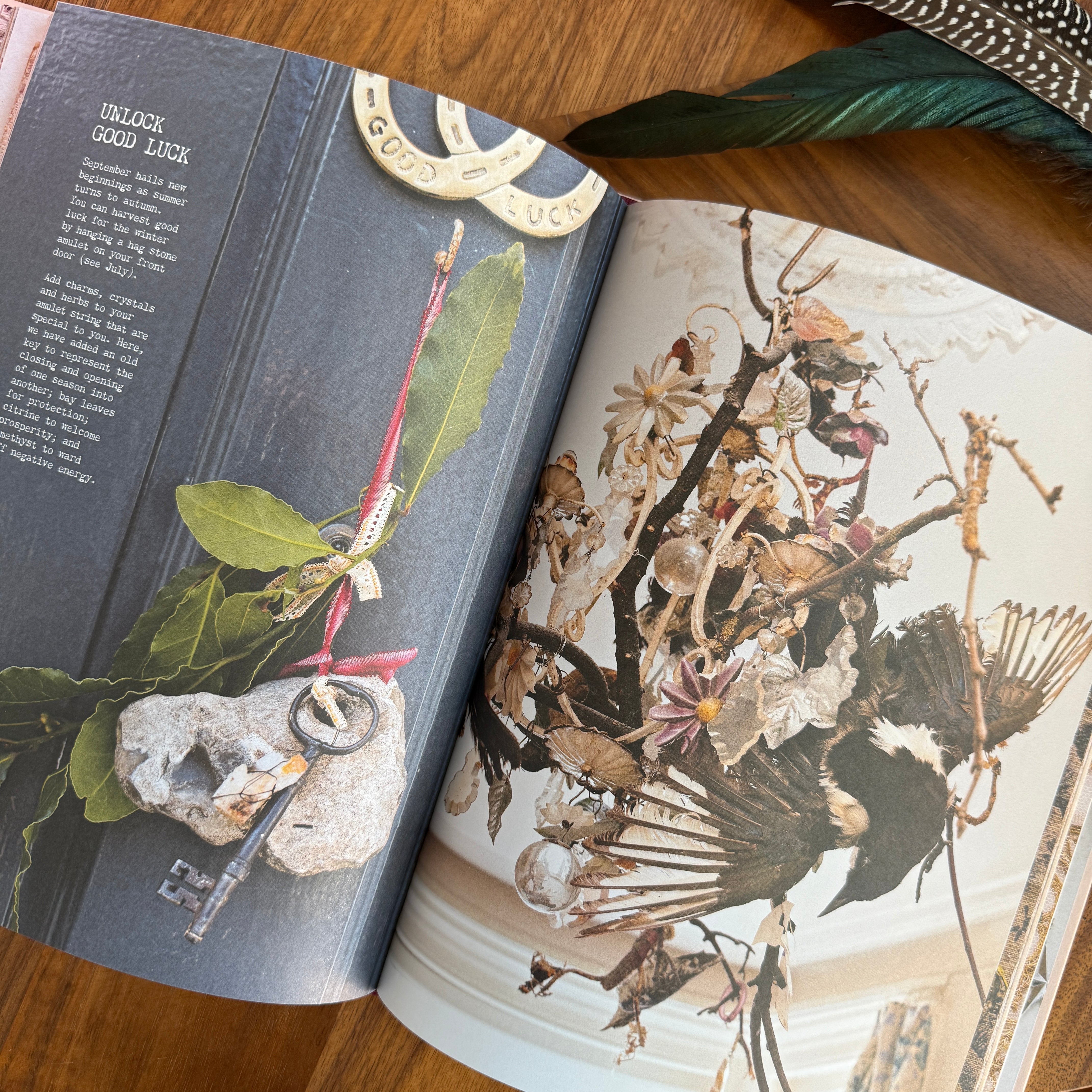 A Curiosity of Folklore, Magic and Spells Book - Confía Collective