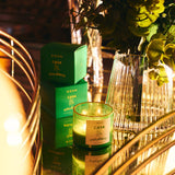 Casa Polanco Candle - Confía Collective