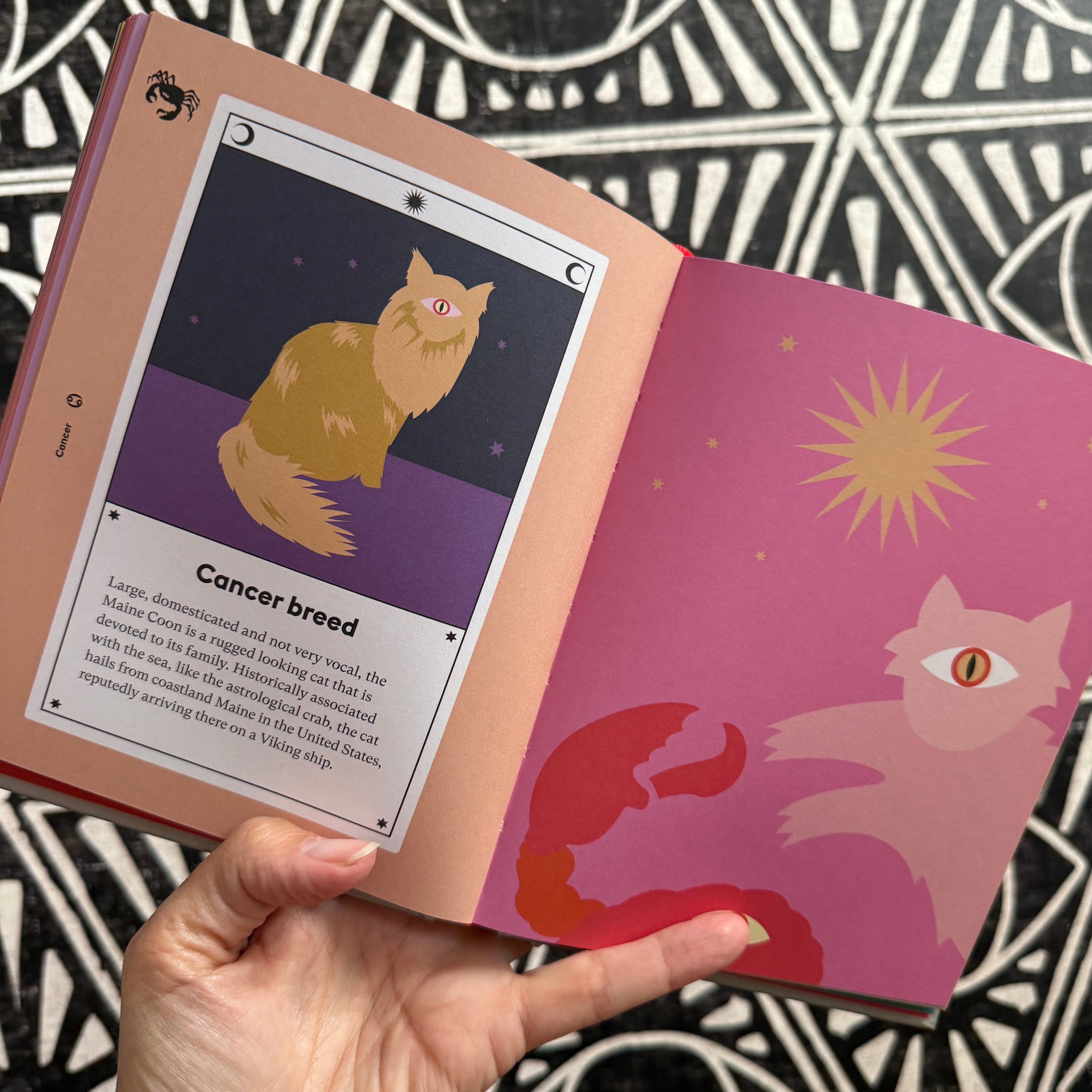 Cat Astrology Book: Decode Your Pet's Personality with the Power of the Zodiac - Confía Collective