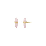 Pair of pink earrings with gold accents on a white background