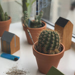 Copal Incense Stick Pack - Confía Collective