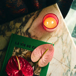 De Las Flores Candle - Confía Collective