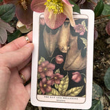 Woodland Wardens Oracle Deck and Guideboook