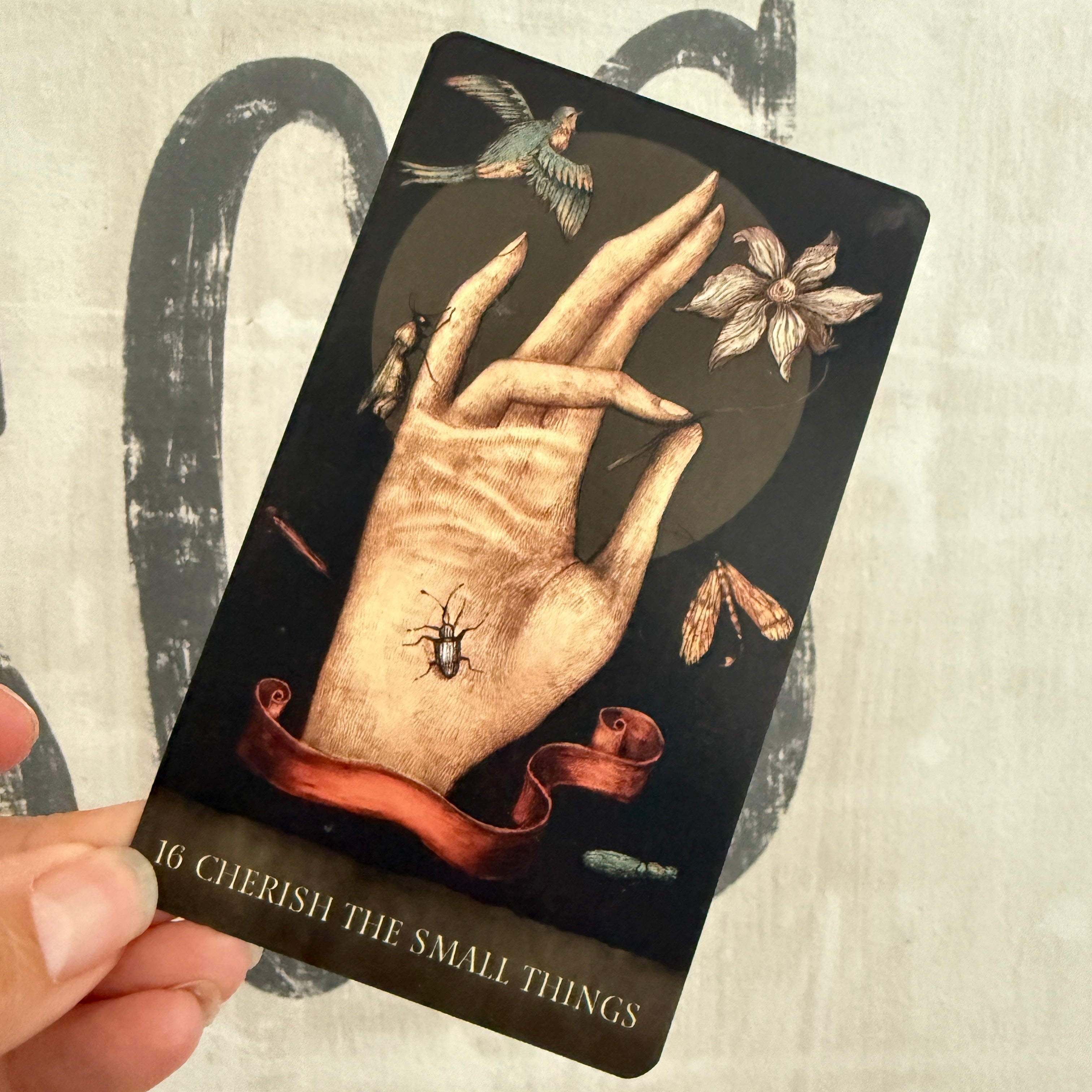 Dream Song Oracle Deck & Guidebook - Confía Collective