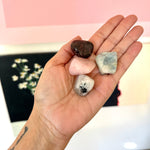 Fertility Stone Set in Box - Confía Collective