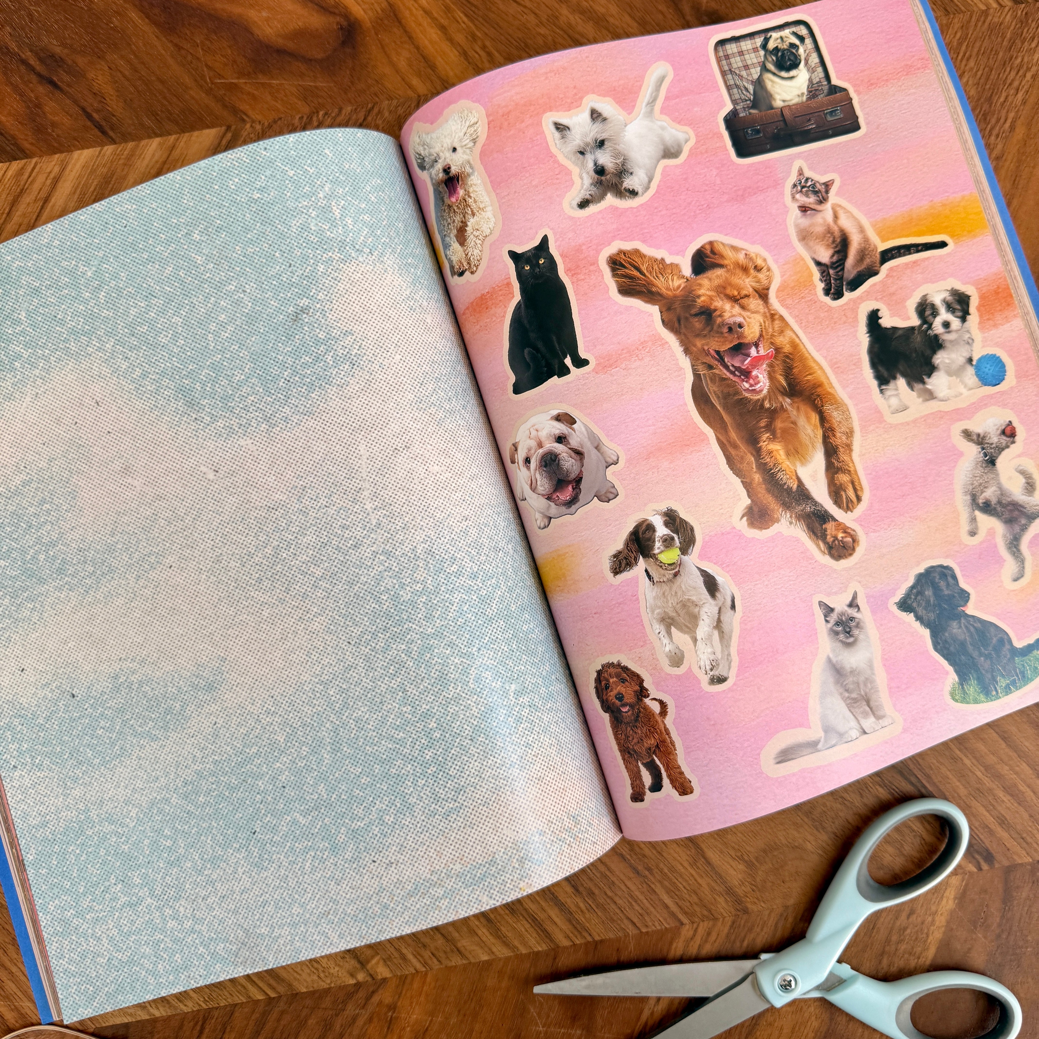 Make A Vision Board Book - Confía Collective