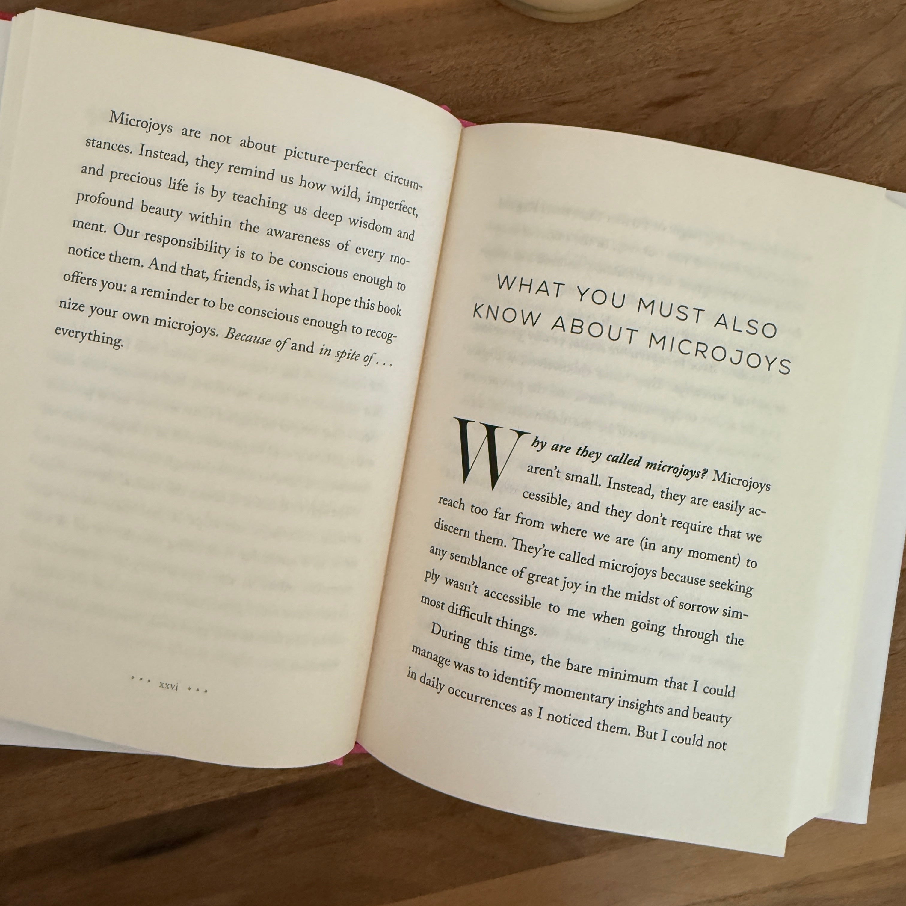 Microjoys: Finding Hope (Especially) When Life Is Not Okay Book - Confía Collective