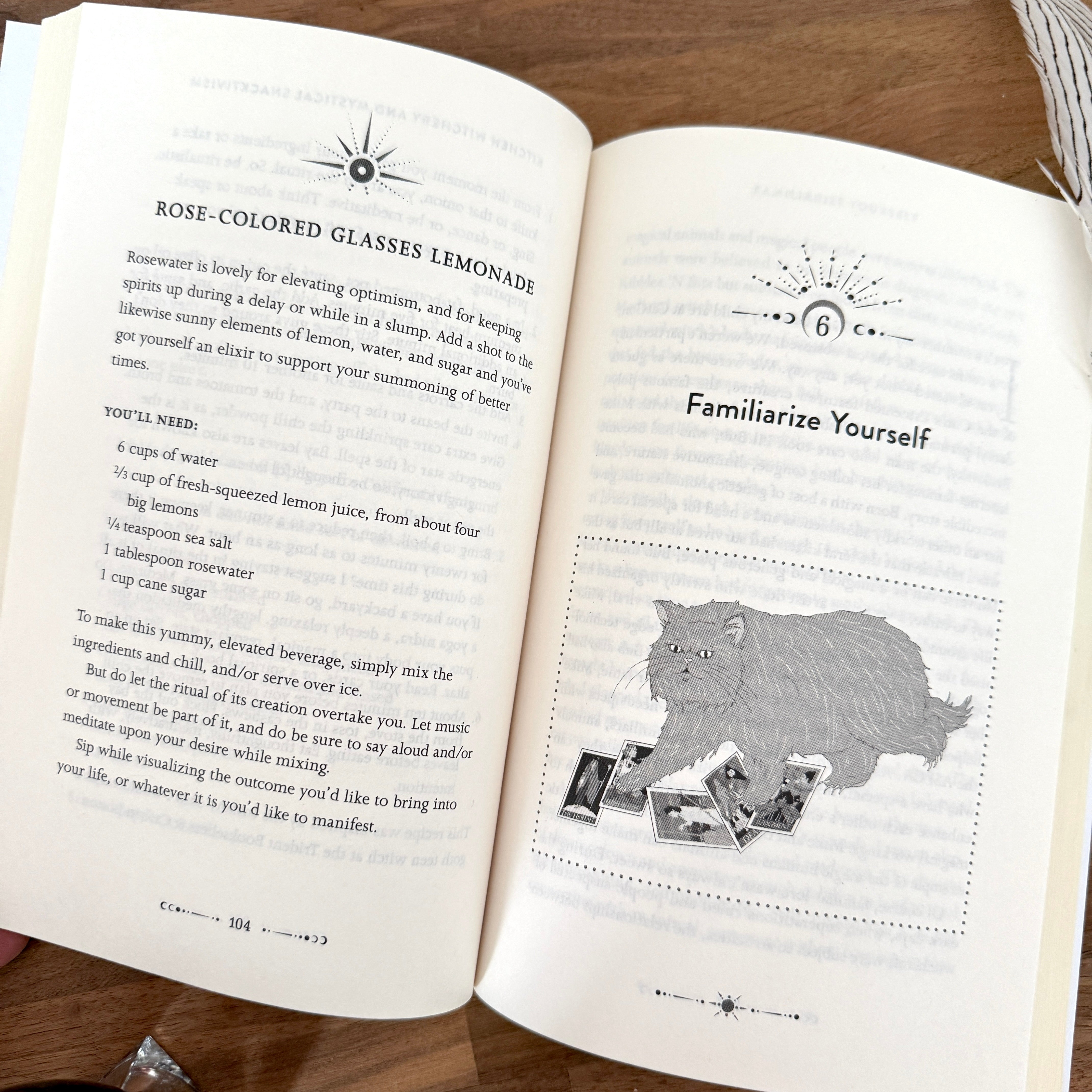 Modern Magic Book by Michelle Tea - Confía Collective