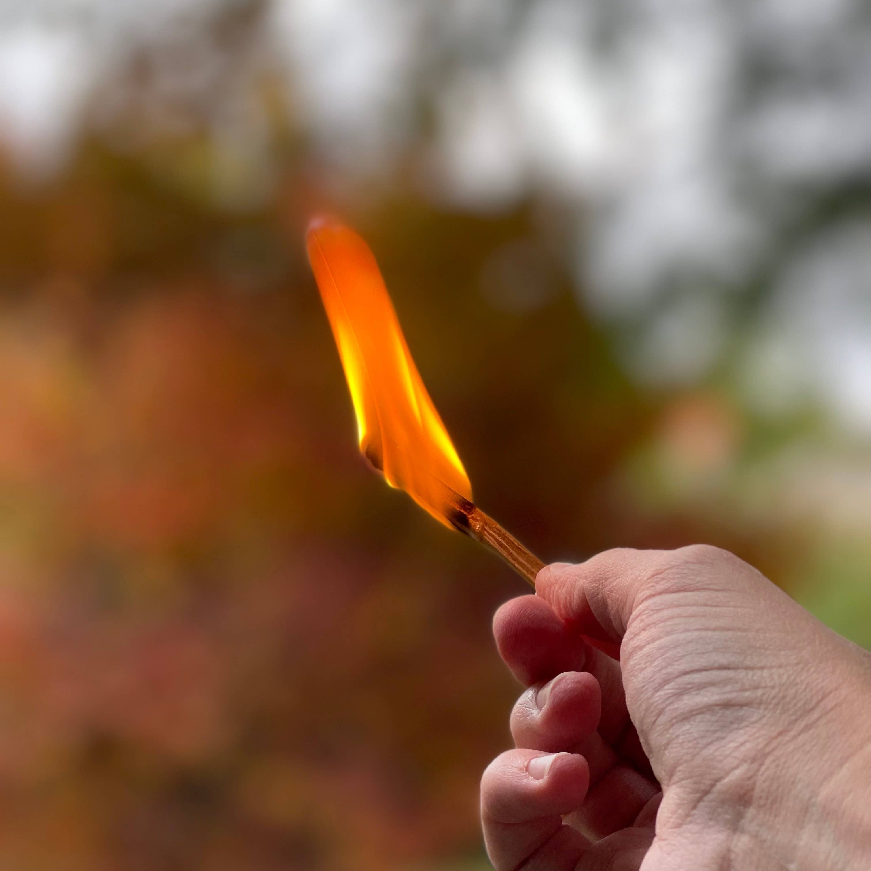 Hand holding a lit palo Santo matchstick with a blurred natural background