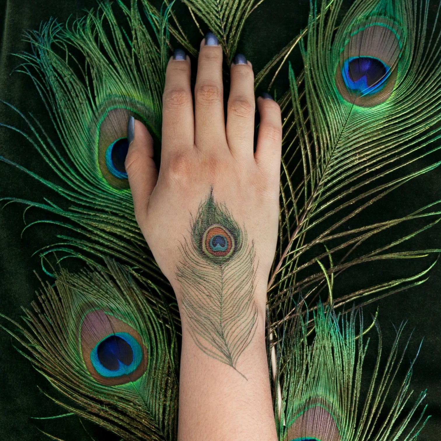 Peacock Feather Temporary Tattoo Set - Confía Collective