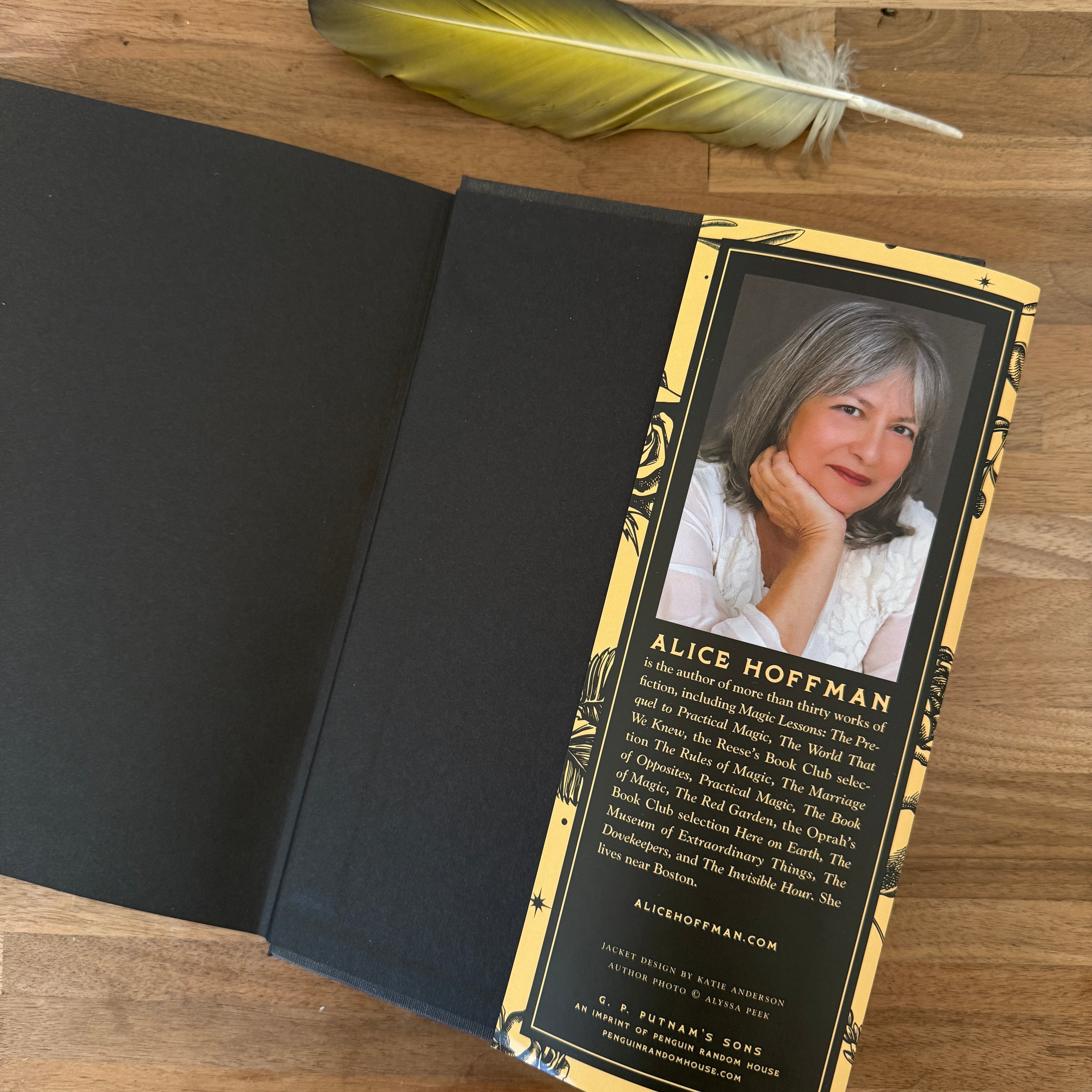 Practical Magic Book by Alice Hoffman - Confía Collective