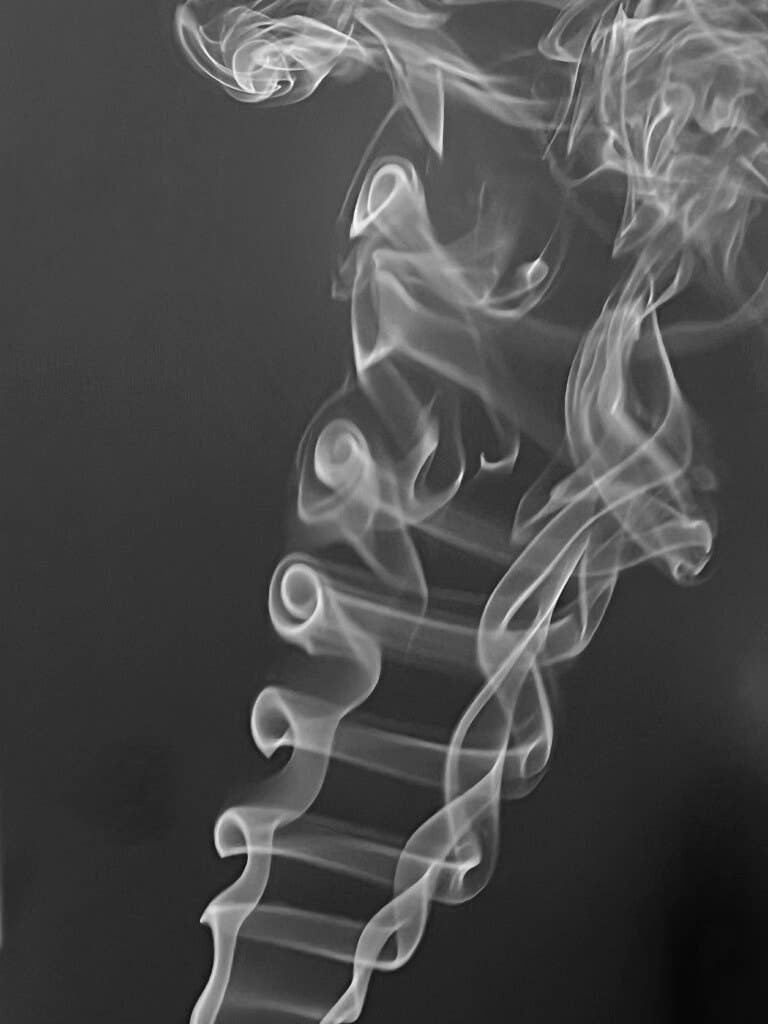 Smoked Oud & Vanilla Incense - Confía Collective