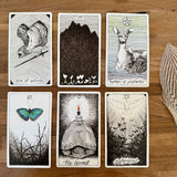The Wild Unknown Tarot Deck & Guidebook - Confía Collective