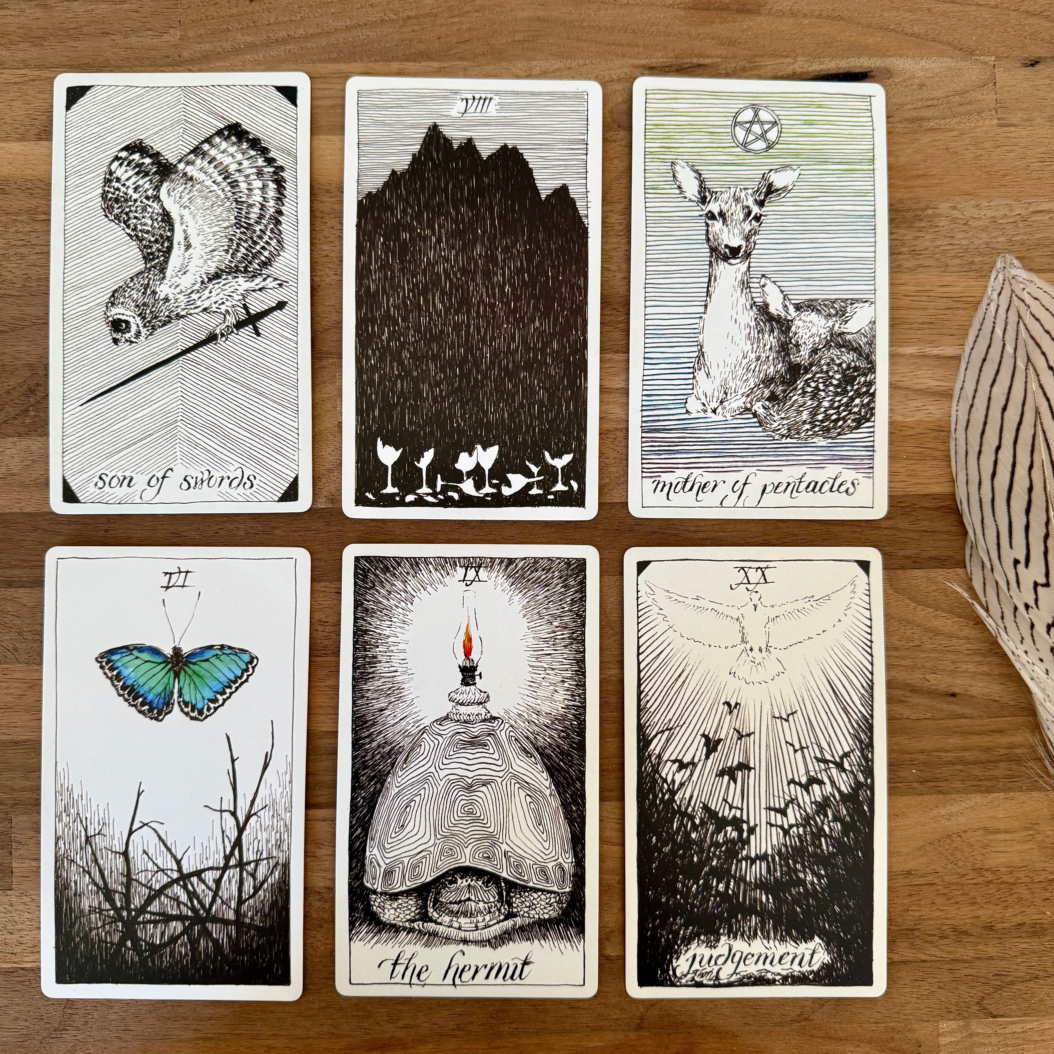 The Wild Unknown Tarot Deck & Guidebook - Confía Collective