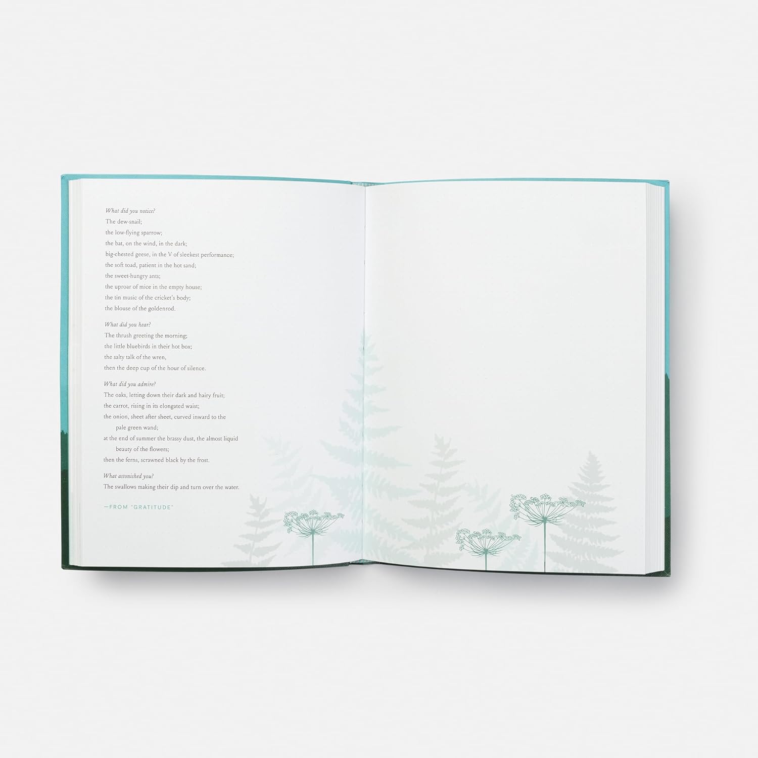 This Wild and Precious Life: A Journal - Confía Collective