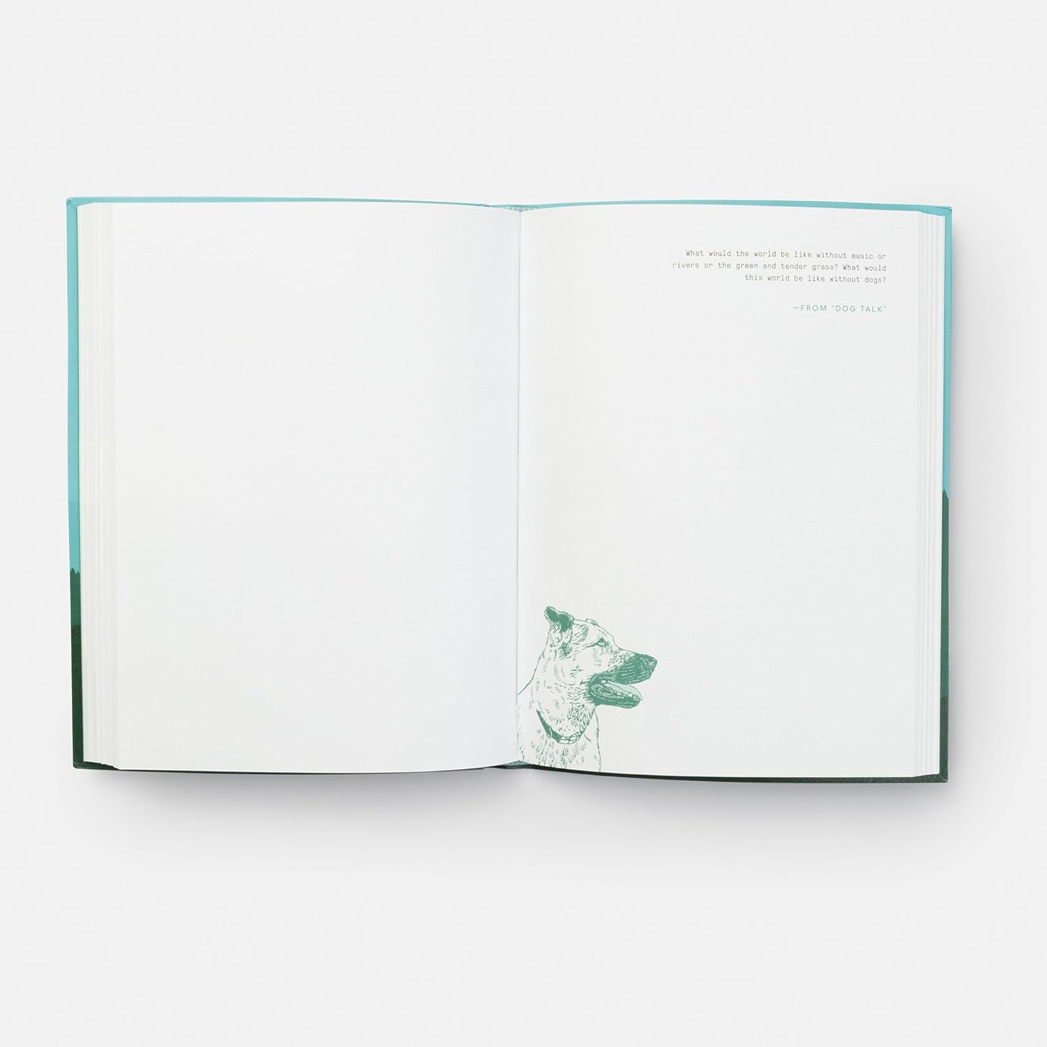 This Wild and Precious Life: A Journal - Confía Collective