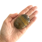 Tiger Eye Crystal Polished Palm Stone - Confía Collective