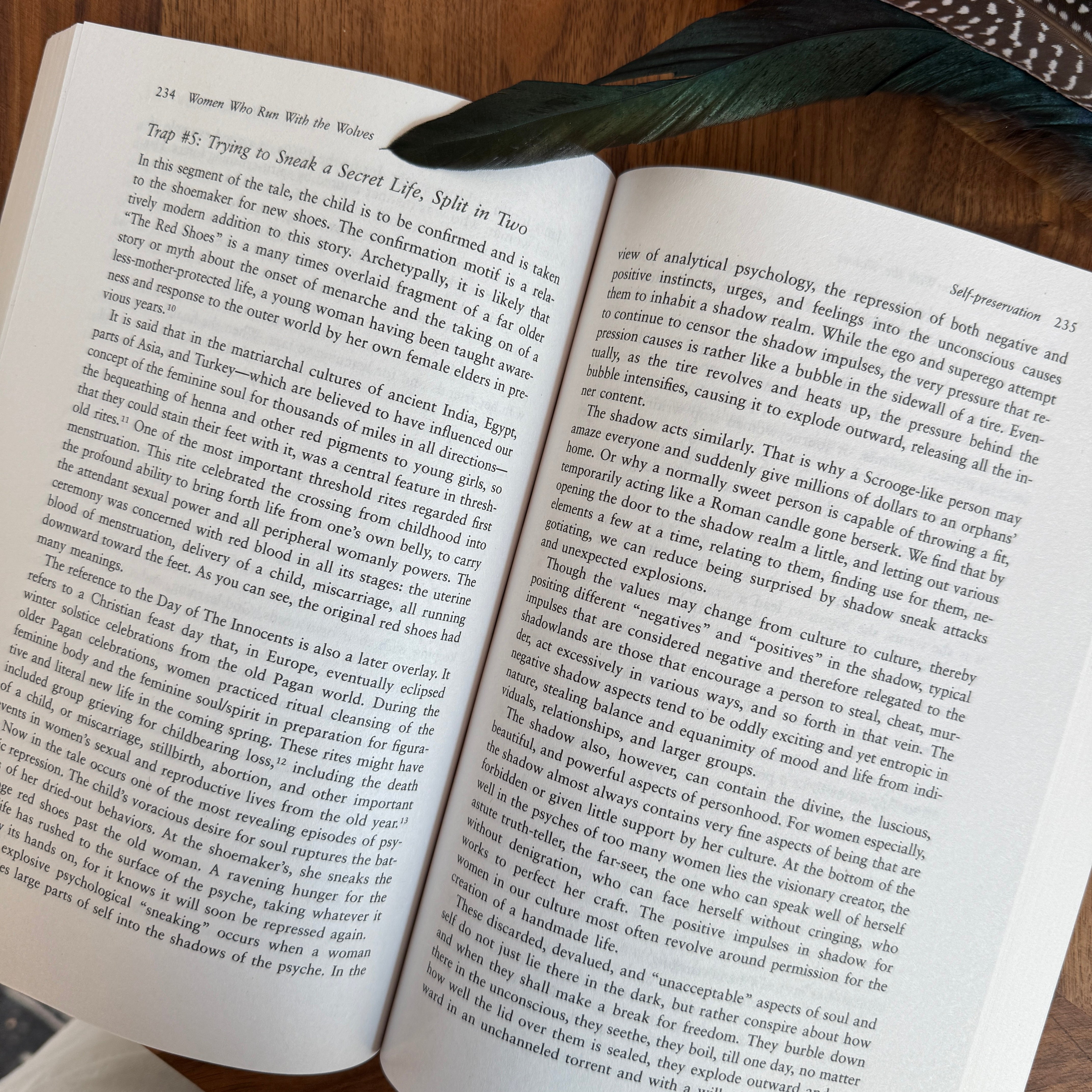 Women Who Run with the Wolves Book - Confía Collective