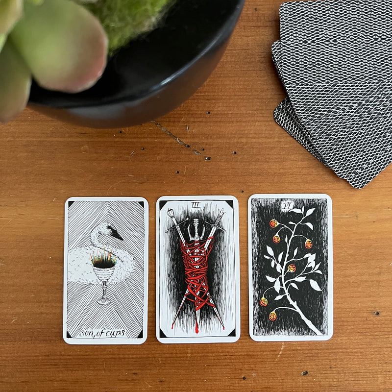 Each of the miniature 78 cards in The Wild Unknown Pocket Tarot Deck & Guidebook is a work of art that explores the mysteries of the natural world and the animal kingdom. 
