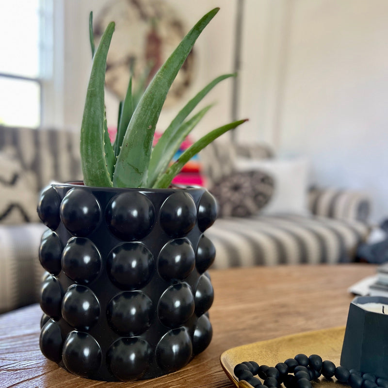 black bubble planter.