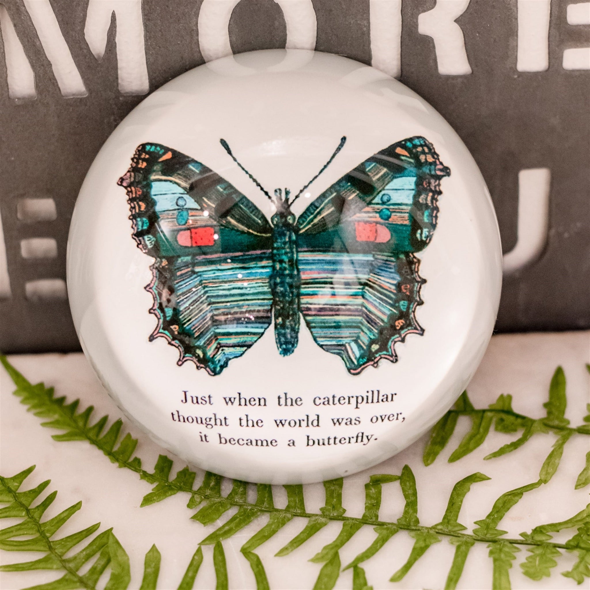  “Just when the caterpillar thought the world was over, it became a butterfly”.  Colorful butterfly paperweight perfect for life’s big changes and small accomplishments, this paperweight is an inspirational reminder to all.