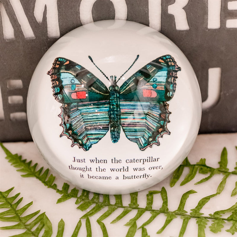  “Just when the caterpillar thought the world was over, it became a butterfly”.  Colorful butterfly paperweight perfect for life’s big changes and small accomplishments, this paperweight is an inspirational reminder to all.