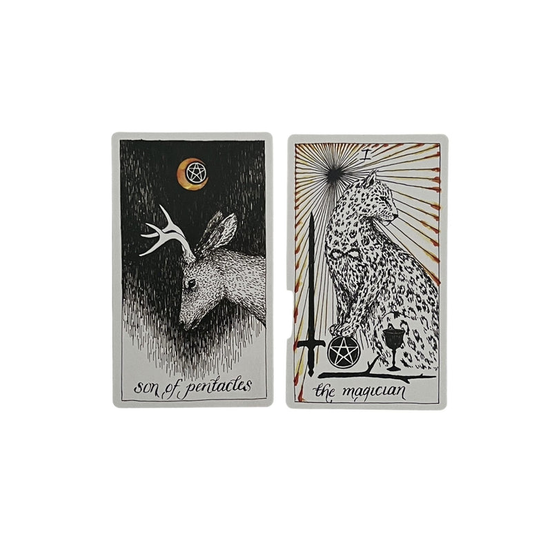 The Wild Unknown Tarot Deck & Guidebook by Kim Krans features 78 intricate cards filled with magic and mystery. Two example cards, son of pentacles and the magician, shown here.