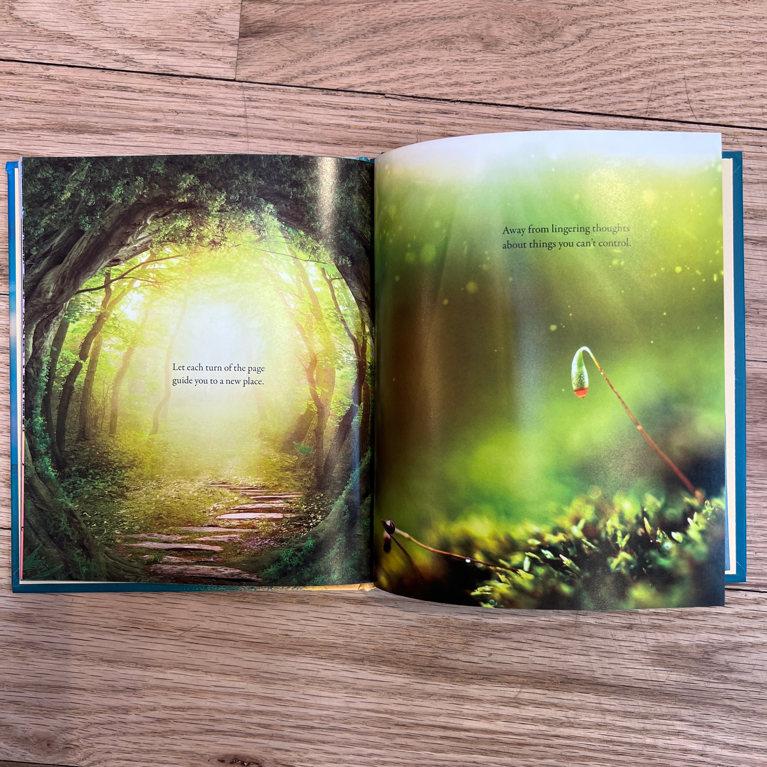 Fuck That - An Honest Meditation Book - Confía Collective