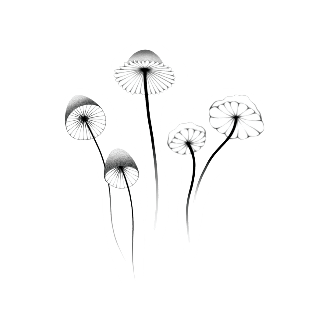 Mushrooms Temporary Tattoo Set - Confía Collective