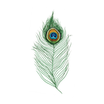 Peacock Feather Temporary Tattoo Set - Confía Collective