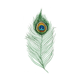 Peacock Feather Temporary Tattoo Set - Confía Collective