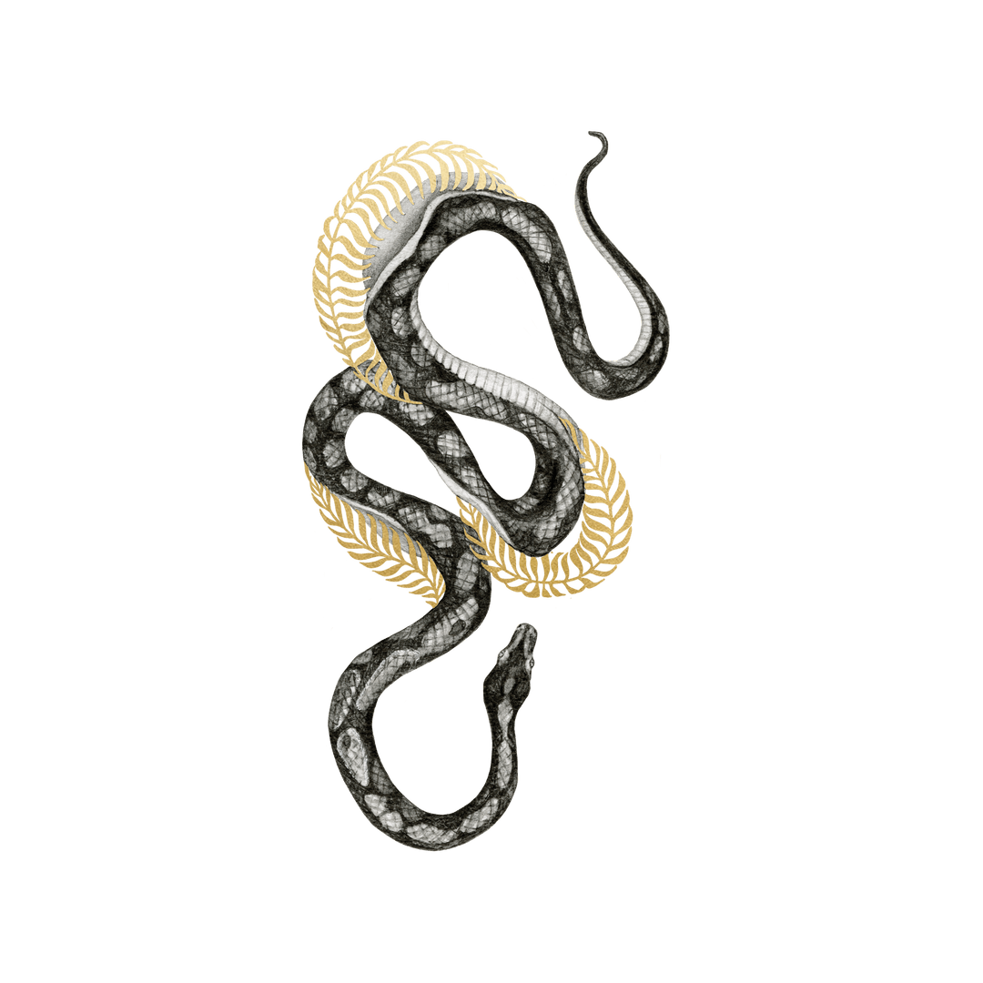 Shimmering Serpent Snake Temporary Tattoo Set - Confía Collective