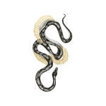 Shimmering Serpent Snake Temporary Tattoo Set - Confía Collective