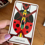 The Untamed Elemental Oracle Deck & Guidebook - Confía Collective