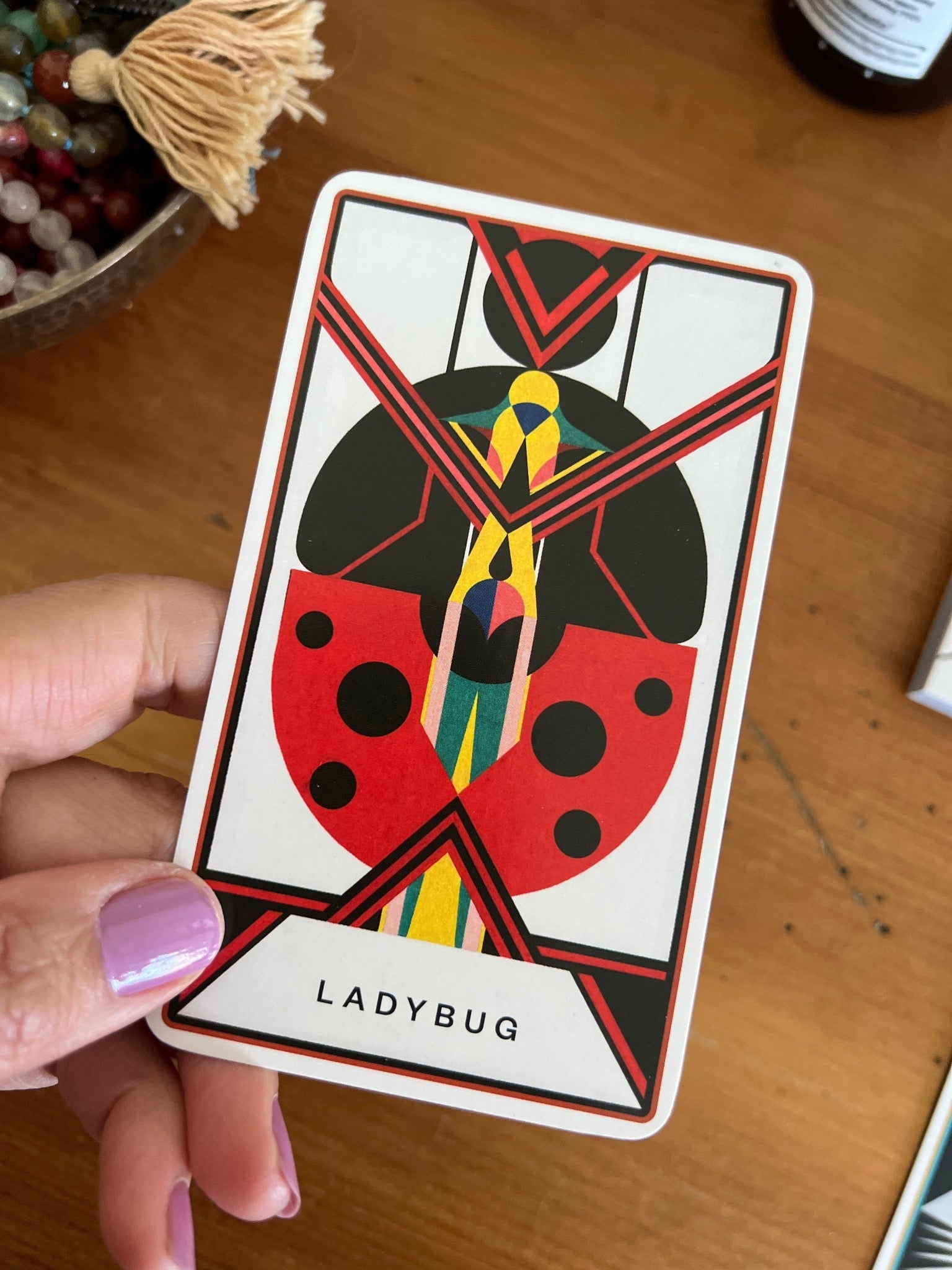 The Untamed Elemental Oracle Deck & Guidebook - Confía Collective